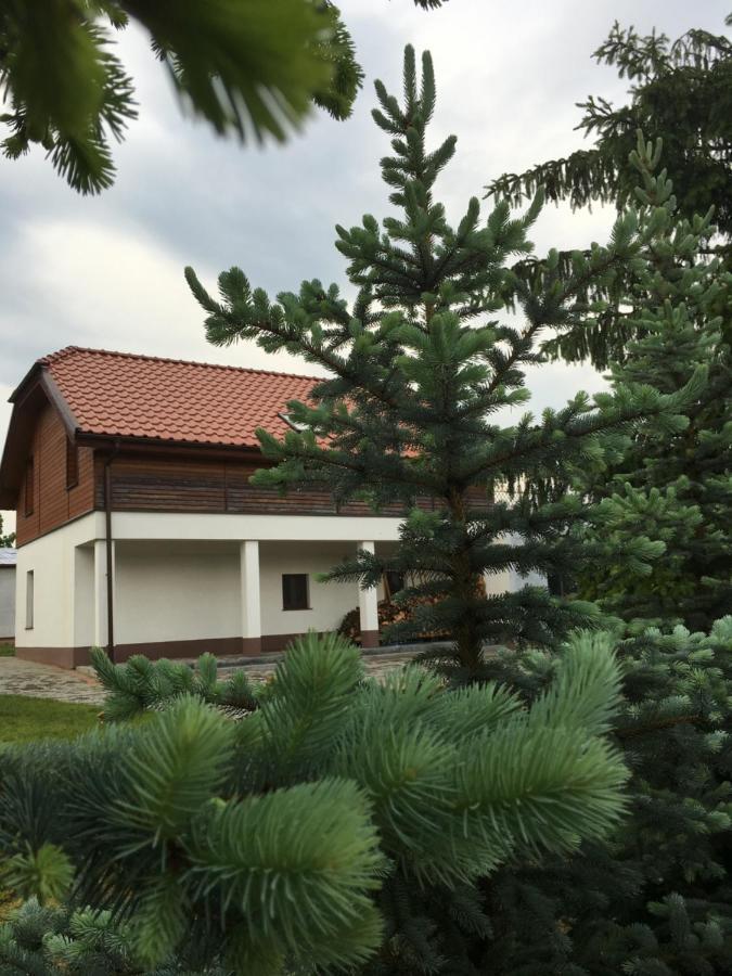 Pokoje Kasztanowa Вілкаси Екстер'єр фото